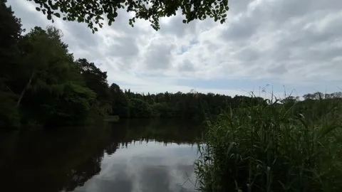 Idyllic Water with Shimmering Tree Reflections in Amsterdam Forest, Netherlands Stock-Footage 343026258