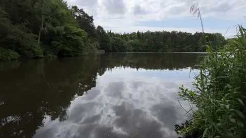 Idyllic Water with Shimmering Tree Reflections in Amsterdam Forest, Netherlands Stock-Footage 343026894