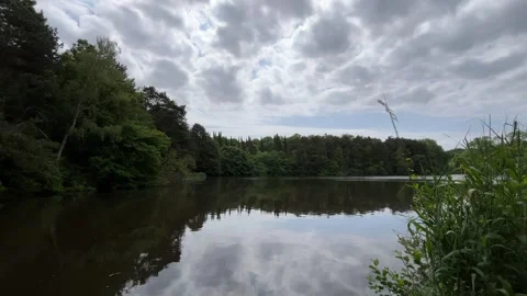 Idyllic Water with Shimmering Tree Reflections in Amsterdam Forest, Netherlands Stock Footage 343026990