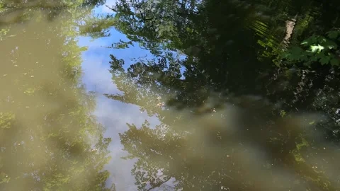 Idyllic Water with Shimmering Tree Reflections in Amsterdam Forest, Netherlands Vídeos de archivo 343027149