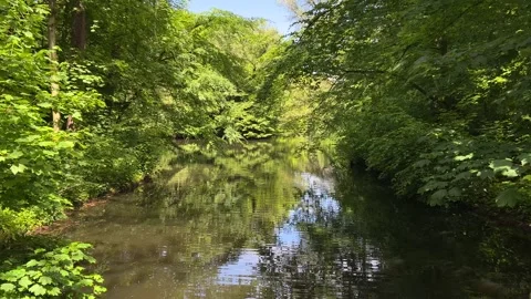Idyllic Water with Shimmering Tree Reflections in Amsterdam Forest, Netherlands 動画素材 343028129