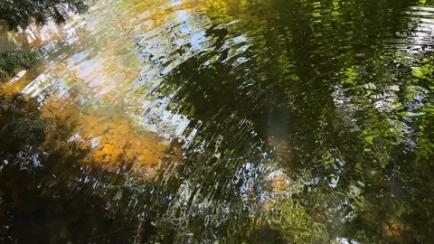 Idyllic Water with Shimmering Tree Reflections in Amsterdam Forest, Netherlands Stock-Footage 343028787