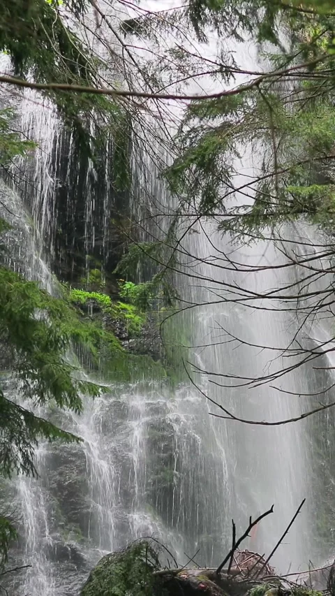 Idyllic Waterfall Cascading in a Wild Forest Area. Zoom out Stock Footage 286805108