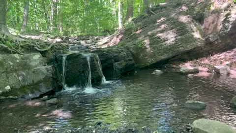 Idyllic waterfall flows over rock formations with strata in lush woodland stream Stock Footage 196546385