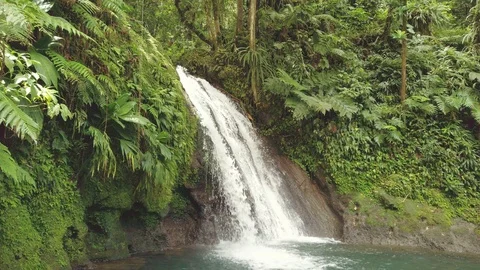 Idyllic waterfall in forest. Cascade aux Ecrevisses, Guadeloupe, Caribbean. Stock Footage 108503873