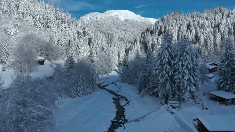 Idyllic winter forest in Chamonix alpine village in French Alps, winter holidays Stock Footage 316685458