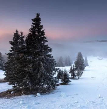 Idyllic Winter Landscape at Sunset Stock Photos