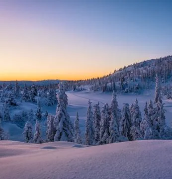 Idyllic Winter Landscape at Sunset Stock Photos