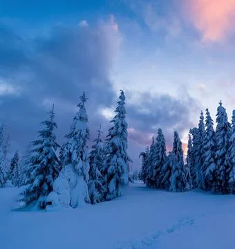 Idyllic Winter Landscape at Sunset Stock Photos