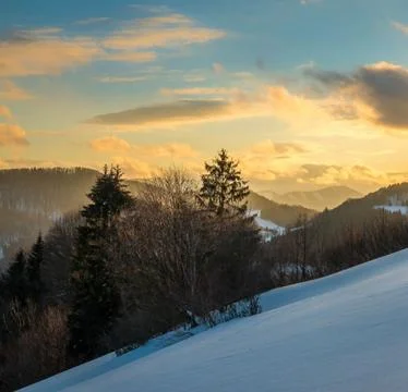Idyllic Winter Landscape at Sunset Stock Photos