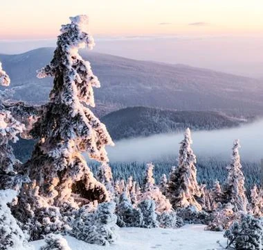 Idyllic Winter Landscape at Sunset Stock Photos