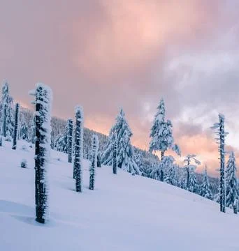 Idyllic Winter Landscape at Sunset Stock Photos