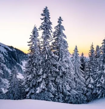 Idyllic Winter Landscape at Sunset Stock Photos