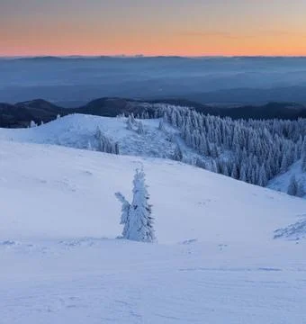 Idyllic Winter Landscape at Sunset Stock Photos