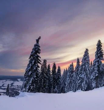 Idyllic Winter Landscape at Sunset Stock Photos