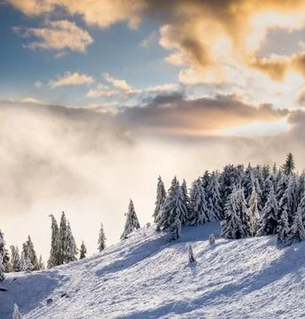 Idyllic Winter Landscape at Sunset Stock Photos