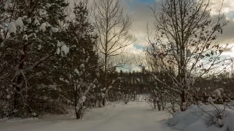 Idyllic winter landscape timelapse. 4k snowy landscape. Stock Footage 325886431