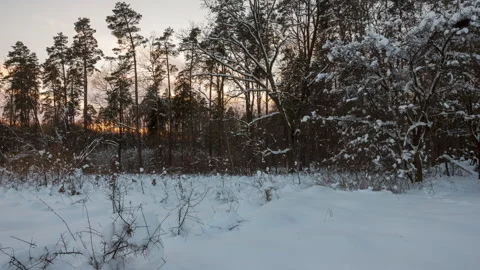 Idyllic winter landscape timelapse. 4k snowy landscape. Stock Footage 325894775