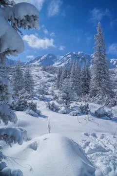 Idyllic winter Stock Photos