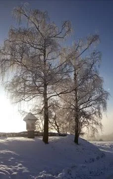 Idyllic   winter  sunset Stock Photos