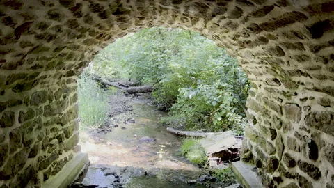Idyllic woodland stream flows under colonial American stone arch bridge tunnel Stock Footage 199739062