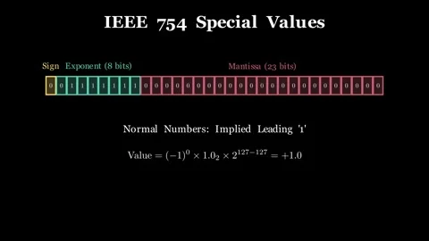 IEEE Floating Point Special Values Vídeos de archivo 340996853