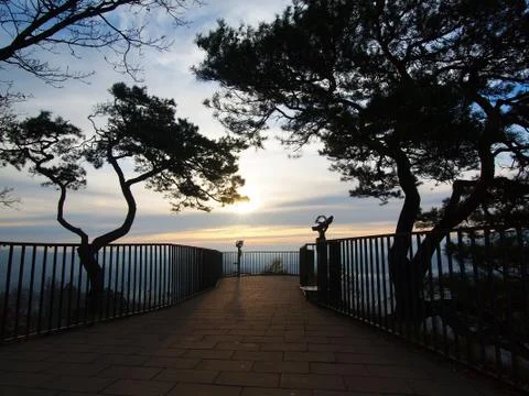 Iew point above deep valley of Saxony Switzerland, fog cloud is shaking in gulch Stock Photos