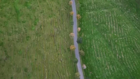 Iew of the road in the mountains 库存影片 142710036