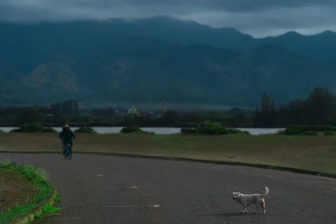 If Found, Please Return Stock Photos