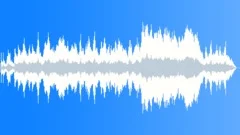 If I Had Known Stock Music