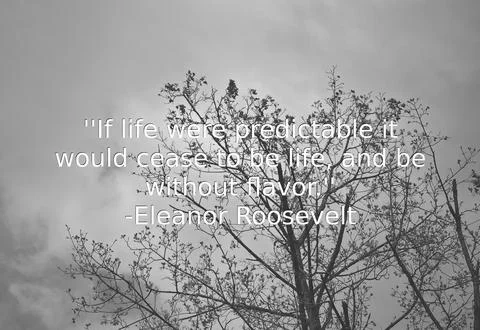 If life were predictable it would cease to be life, and be without flavor. -Elea 库存照片
