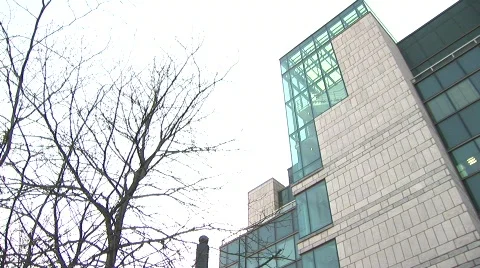 IFSC Pan from Trees and Back Stock Footage 400070