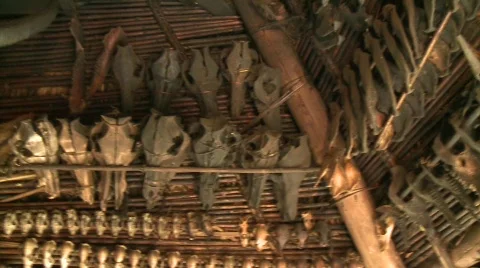 Ifugao bone collection 1 Video stock 516095