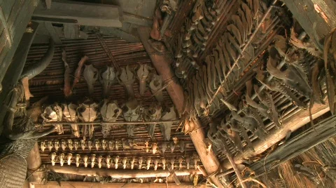 Ifugao bone collection 2 Stock Footage 516091