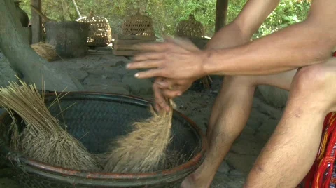 Ifugao preparing the rice 4 Stock Footage 516358