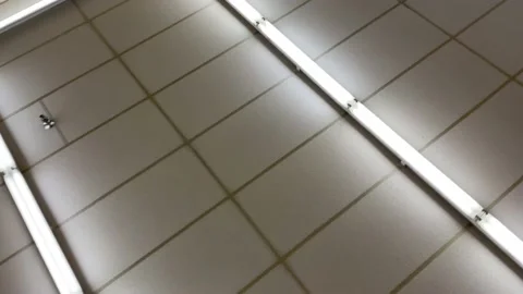IGA retail grocery store ceiling pan tiles and lights. Stock Footage 158458886