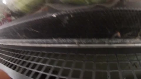 IGA retail grocery store interior dirty vents in produce Stock Footage 158320252