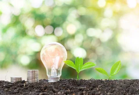 Ight bulb, coin stack and tree,growth concept to investment and energy saving Stock Photos