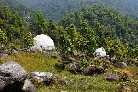 Igloo Tent house in the backdrop of dense forest . Stock Photos