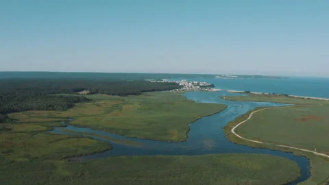 Igneada Longoz floodplain forests in summer Stock Footage 234095668