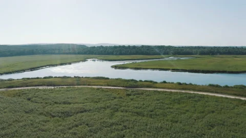 Igneada Longoz floodplain forests in summer Stock Footage 234095787