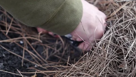 Igniting the Campfire (Close up) Stock Footage 283307399