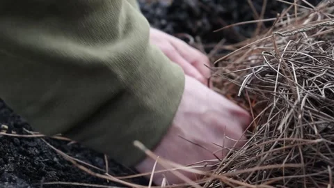 Igniting the Campfire (Close up) Stock Footage 283307405