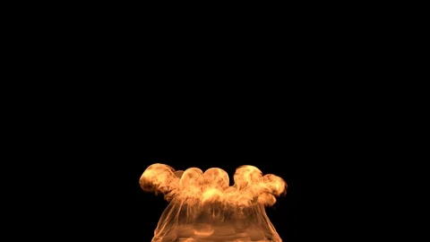 Igniting Campfire Isolated on Black. Stock Footage 123813581