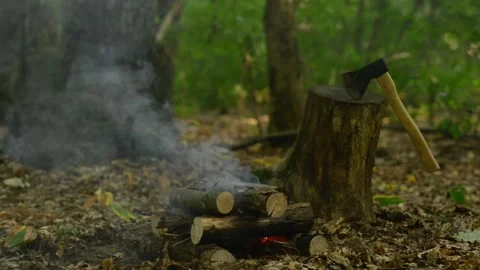 Igniting Campfire Starting with Smoke and Flames in Forest Stock Footage 343821511
