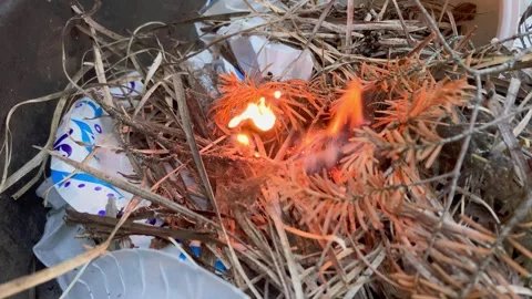 Igniting Fire with Flint and Steel on Natural Tinder Close Up in Forest 動画素材 340542946