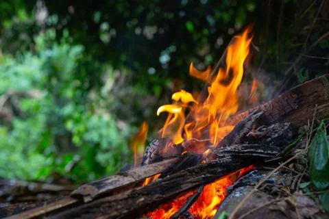 Igniting the fire in the forest for camping. Stock Photos