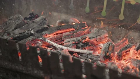 Ignition of coals in the grill Stock Footage 238564875