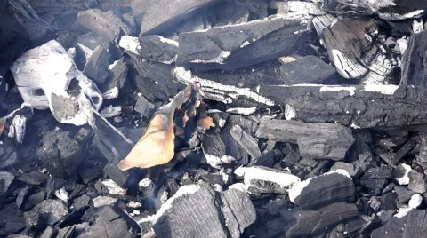 Ignition process paper lying on a red-hot charcoal Stock Footage 68082771