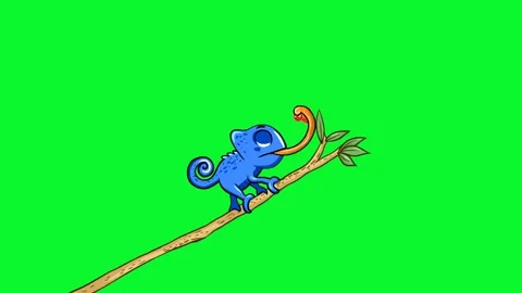 Iguana Animation Video stock 291852275